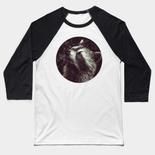 Beautiful Raccoon Photograph Baseball T-Shirt